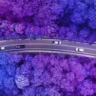 Carros a passar numa estrada rodeada de árvores numa vista de cima