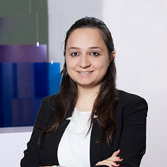 pelin-ataseven