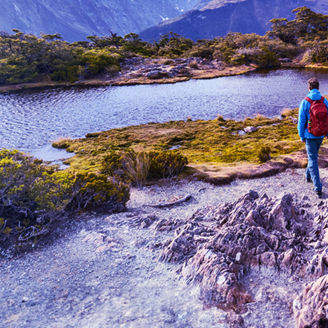 People walking near lake in forest