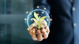 Businessman hand with coins and sprout in network connection. Plant growing on pile of coins money. Money growth concept.