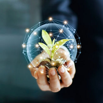Businessman hand with coins and sprout in network connection. Plant growing on pile of coins money. Money growth concept.