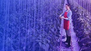 Person Standing in agricultural tent Banner.jpg