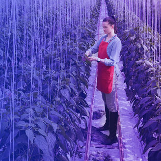 Person Standing in agricultural tent Banner.jpg