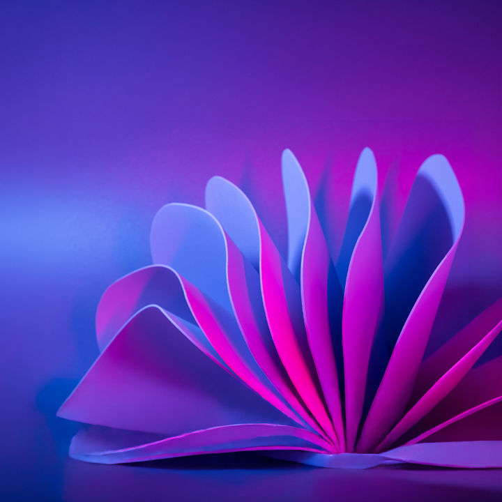 petals-formed-like-turning-book