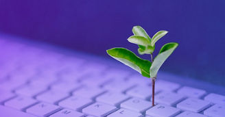 Sustainability reporting 2024/2025