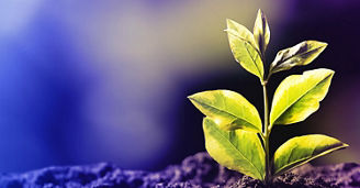 Corporate Sustainability Reporting Directive (CSRD)