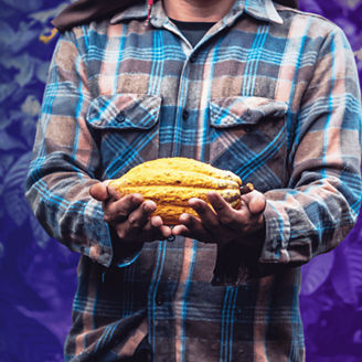 Mężczyzna trzymający owoc kakaowca