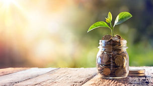Plant Growing In Savings Coins -