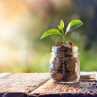 Plant Growing In Savings Coins -