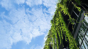 greenery on building