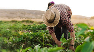 Ilustrační obrázek