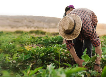 Ilustrační obrázek