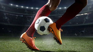 Professionalising sports federations