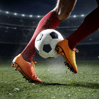 Professionalising sports federations

