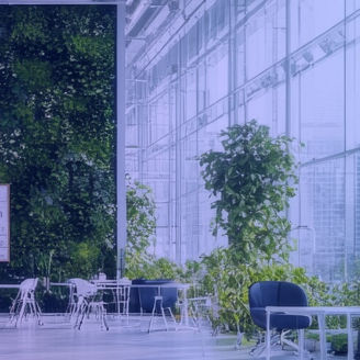 Um átrio moderno e luminoso com grandes janelas, áreas de estar e várias paredes verdes cobertas de plantas.