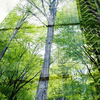 Edificio com natureza espelhada