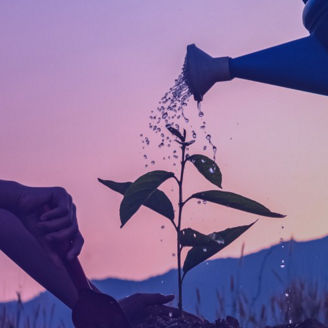 Crianças a regar plantas