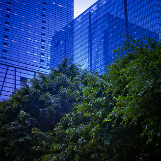 Glass façade in front of trees