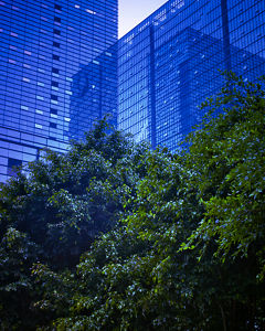 Glass façade in front of trees