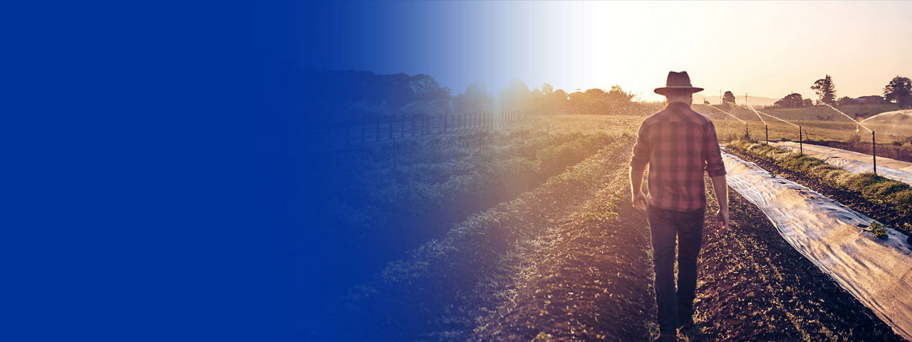 Prepare for global and Australian sustainability standards