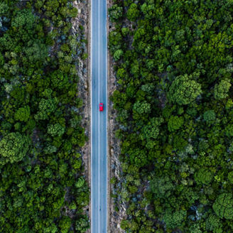 Red car on the road by a green forest