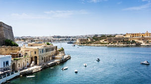 Repatriation of Maltese Persons Established in a Field of Excellence Rules
