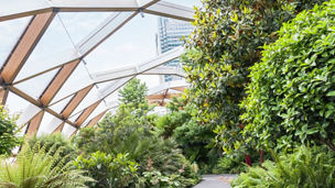 Crossrail Place roof garden in Canary Wharf, London
