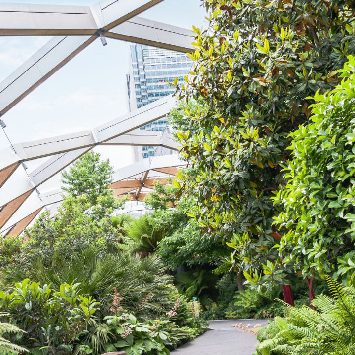 Crossrail Place roof garden in Canary Wharf, London