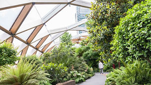 Crossrail Place roof garden in Canary Wharf, London