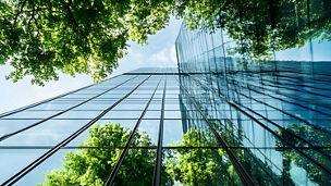 Eco environment building with trees