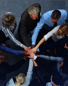 Colleagues high-five