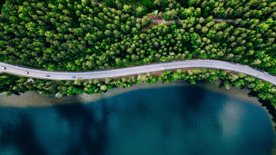 Highway near forest top view