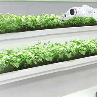 Robot plotting plants