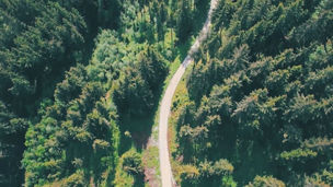 Shot of a pathway through a forest