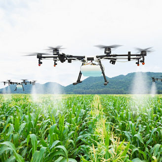 Agriculture drone fly to sprayed fertilizer on the sweet corn fields