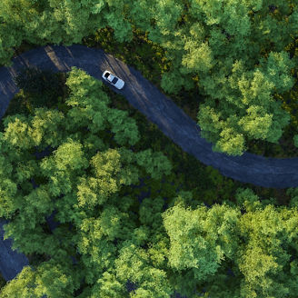 Adventure morning road trip in the forest, aerial view of a car on deep jungle road. On The Road Again concept.
