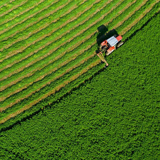 alfalfa plant harvest, people working with tractors and agricultural machinery, storage of silages in silos for the feed needs of mammals such as cattle, sheep and goats, irrigated and modern agricult