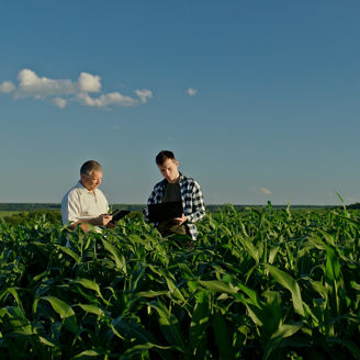 Father and son farmers standing in a beautiful cornfield, working with a laptop and tablet. Integrating technology in their family farm; Shutterstock ID 2501665223; purchase_order: 