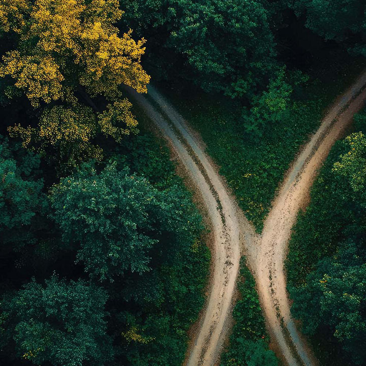 Single road diverging into two paths