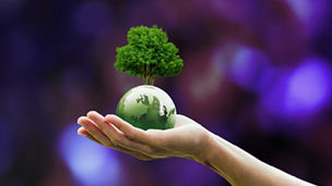 Ilustrační obrázek