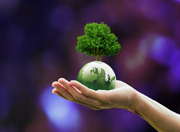 Ilustrační obrázek