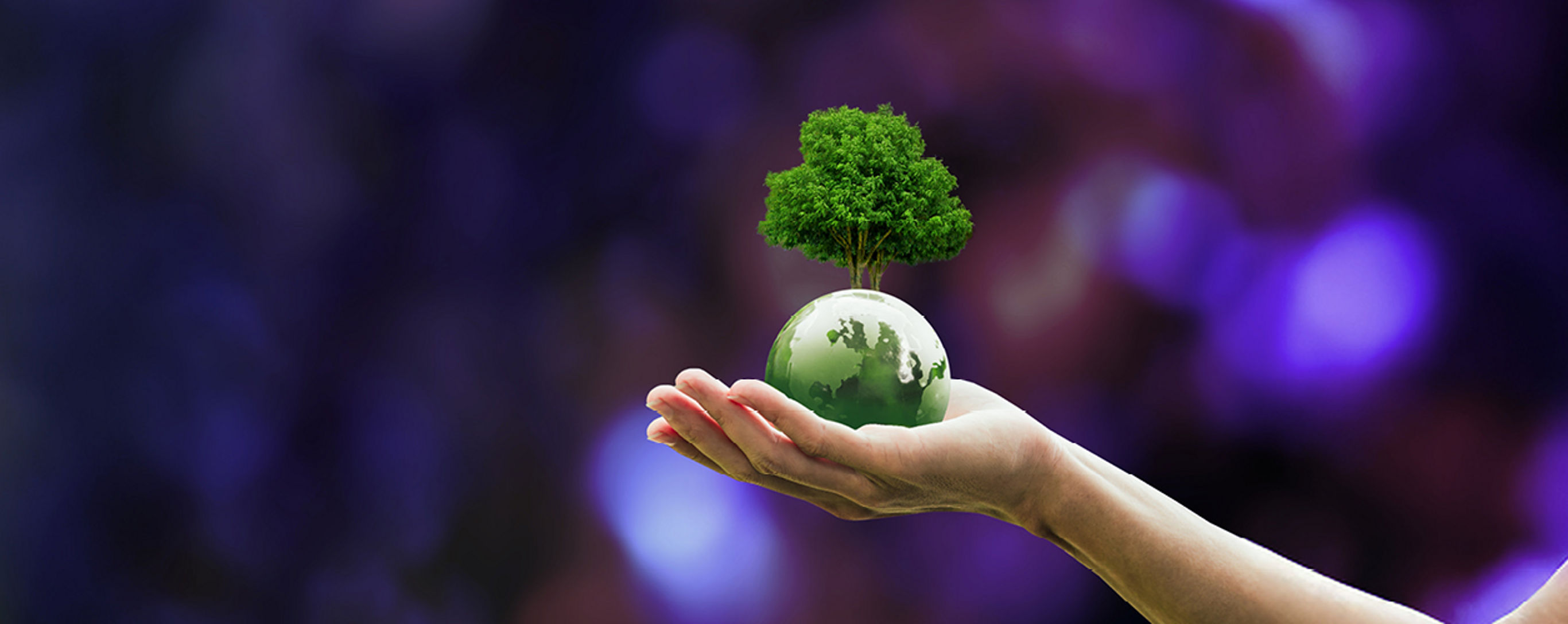 Ilustrační obrázek