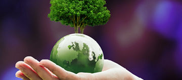 Ilustrační obrázek