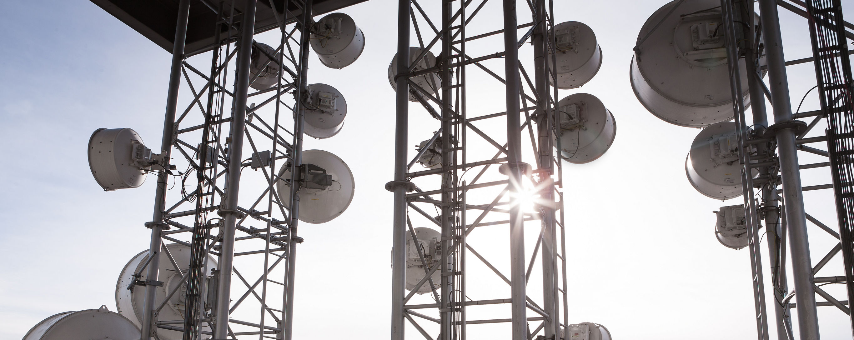 Ilustrační obrázek