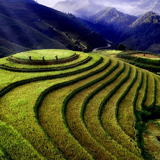 Socalcos verdes de arroz nas montanhas, com três agricultores a caminhar no topo ao amanhecer.