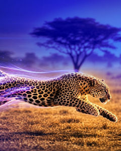 Jumping leopard 