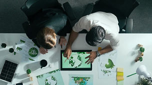   kpmg professinels stratégies esg durabilité