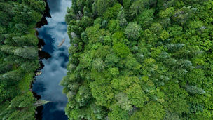 ilustrační obrázek