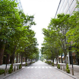 Street with trees on both ends