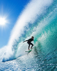 Finance & Treasury Management